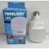 THORLIGHT LED AMPÜL 20W**30